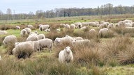 Ihr schönstes Foto vom Frühlingsausflug