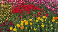 Ihr schönstes Foto vom Frühlingsausflug