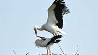 Ihr schönstes Foto vom Frühlingsausflug