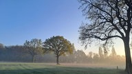 Ihr schönstes Foto vom Frühlingsausflug