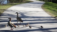 Ihr schönstes Foto vom Frühlingsausflug