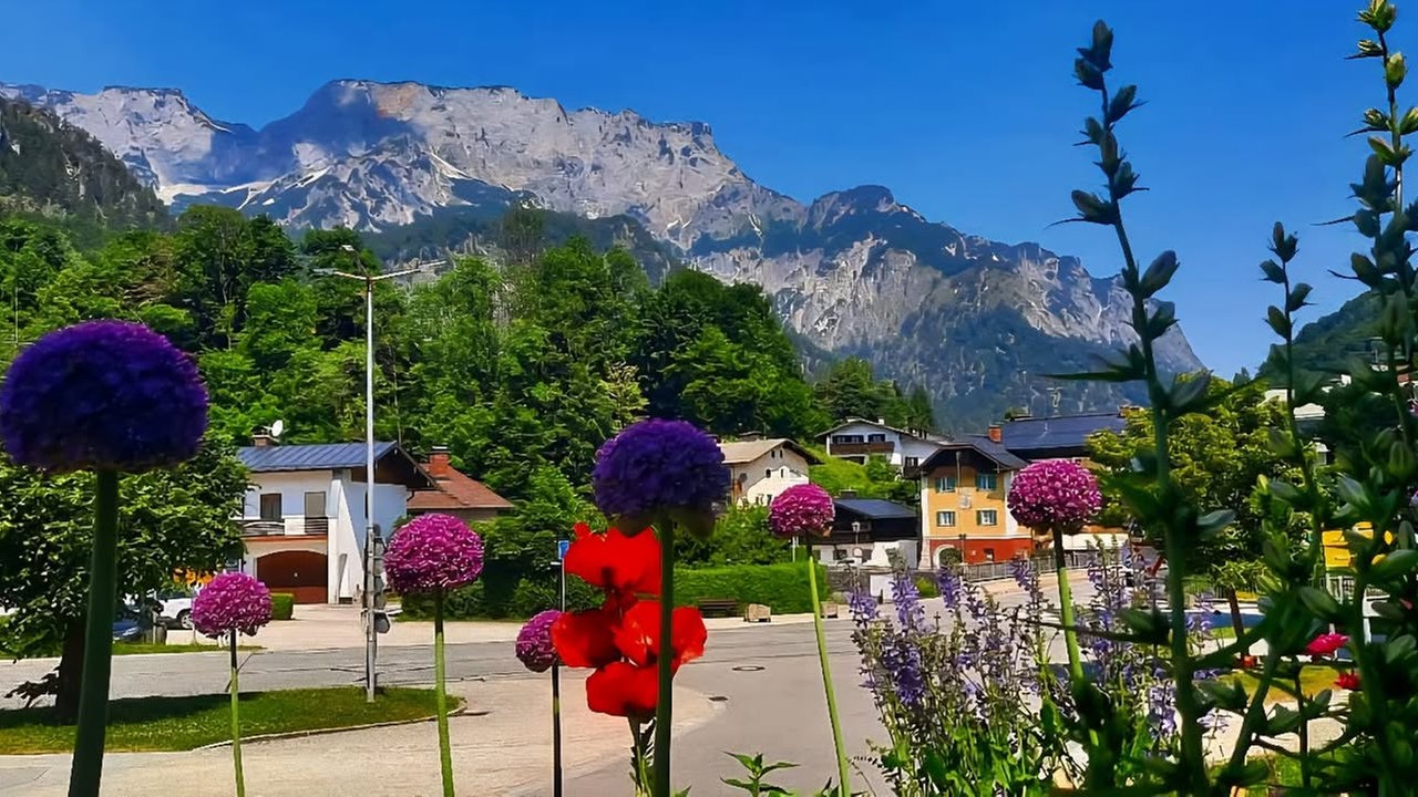 Ihr schönstes Foto vom Frühlingsausflug