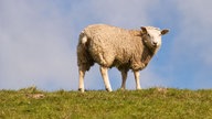 Ihr schönstes Foto vom Frühlingsausflug