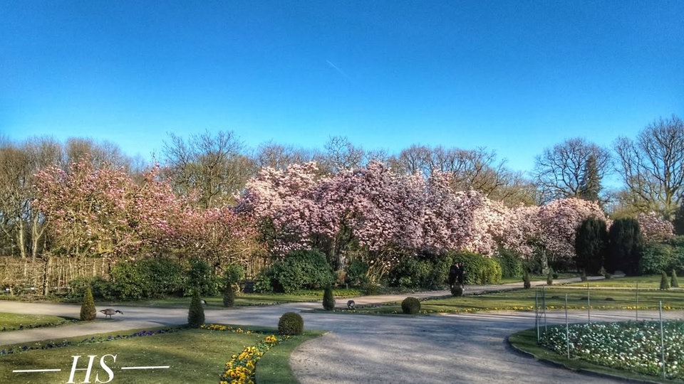Ihr schönstes Foto vom Frühlingsausflug
