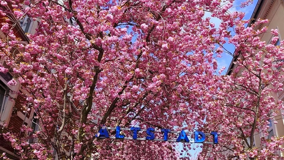 Ihr schönstes Foto vom Frühlingsausflug