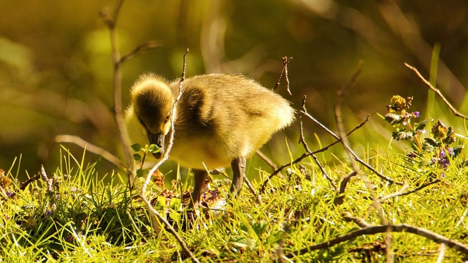 Ihr schönstes Foto vom Frühlingsausflug