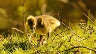 Ihr schönstes Foto vom Frühlingsausflug