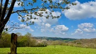 Ihr schönstes Foto vom Frühlingsausflug