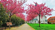 Ihr schönstes Foto vom Frühlingsausflug
