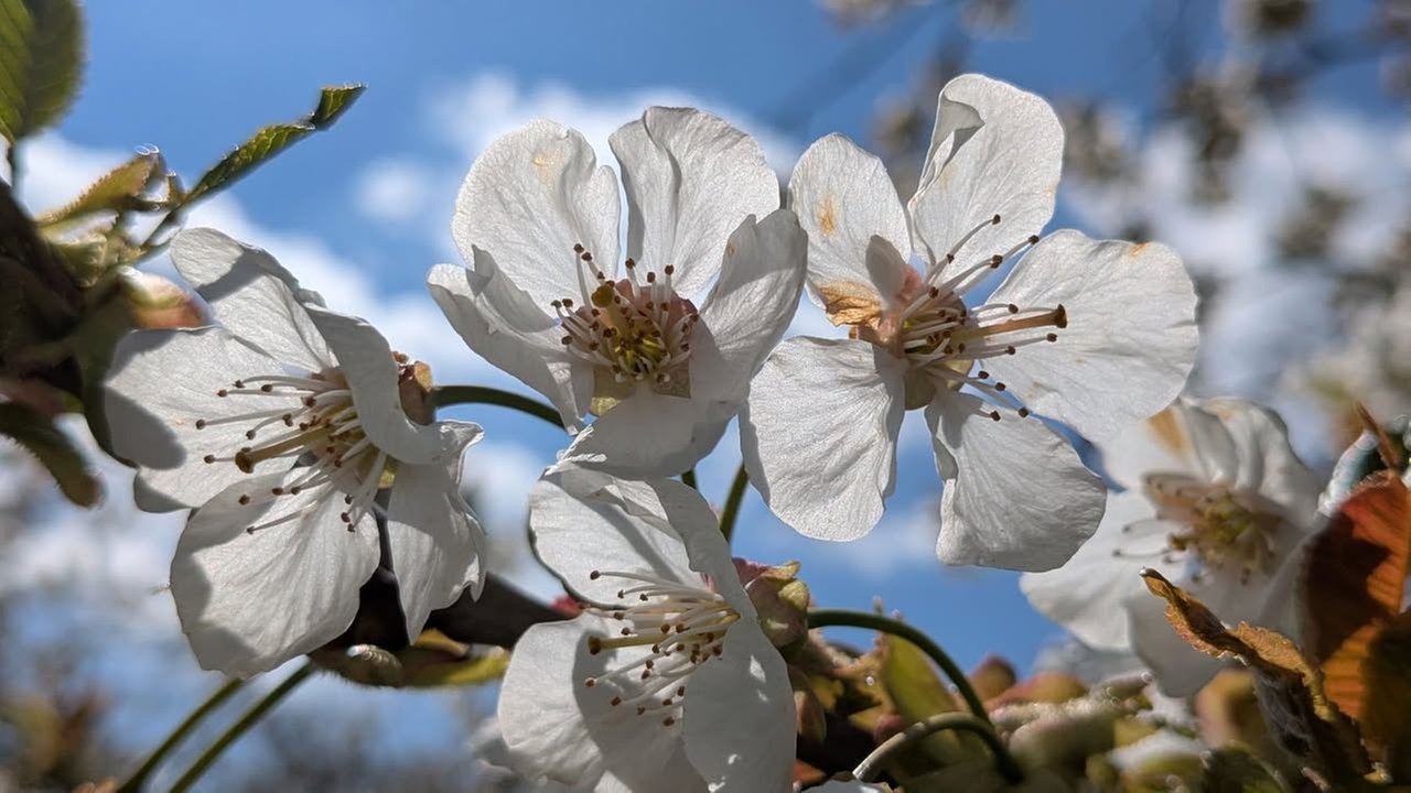Ihr schönstes Foto vom Frühlingsausflug