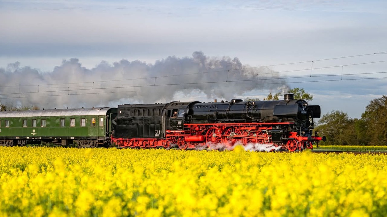 Ihr schönstes Foto vom Frühlingsausflug
