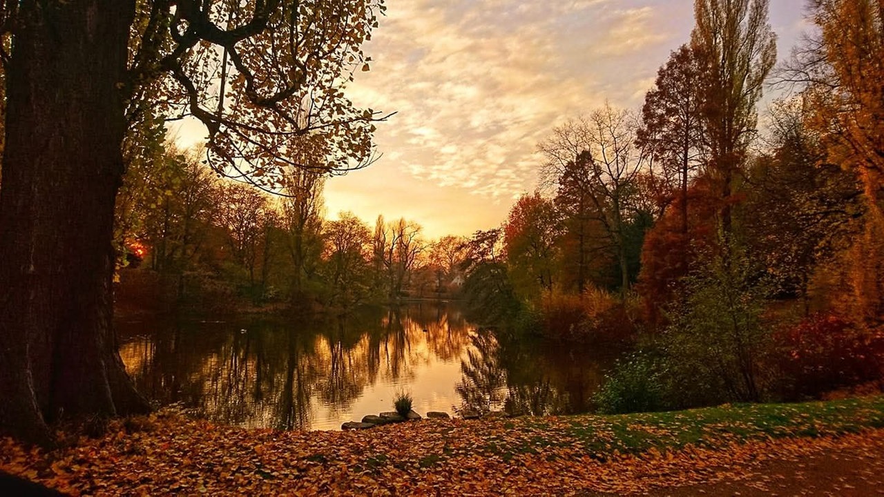 Goldener Oktober