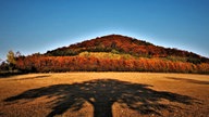Goldener Oktober