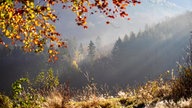 Goldener Oktober