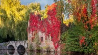 Ihr schönstes Herbstlaub