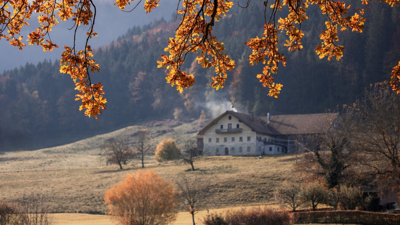 Ihr schönstes Herbstlaub
