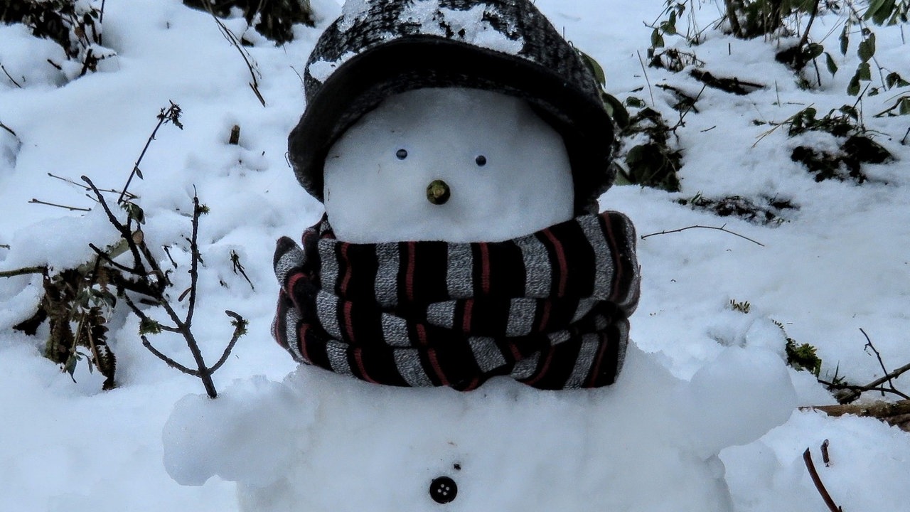 Ihre schönsten Fotos von Schneemännern