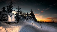Ihre schönsten Fotos von Schneemännern