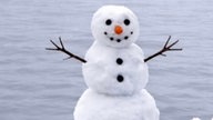 Ihre schönsten Fotos von Schneemännern