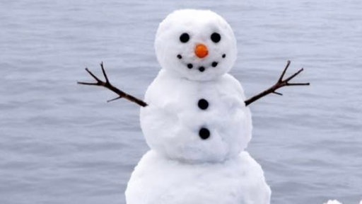 Ihre schönsten Fotos von Schneemännern