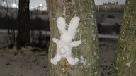 Ihre schönsten Fotos von Schneemännern