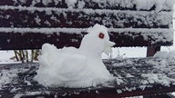 Ihre schönsten Fotos von Schneemännern