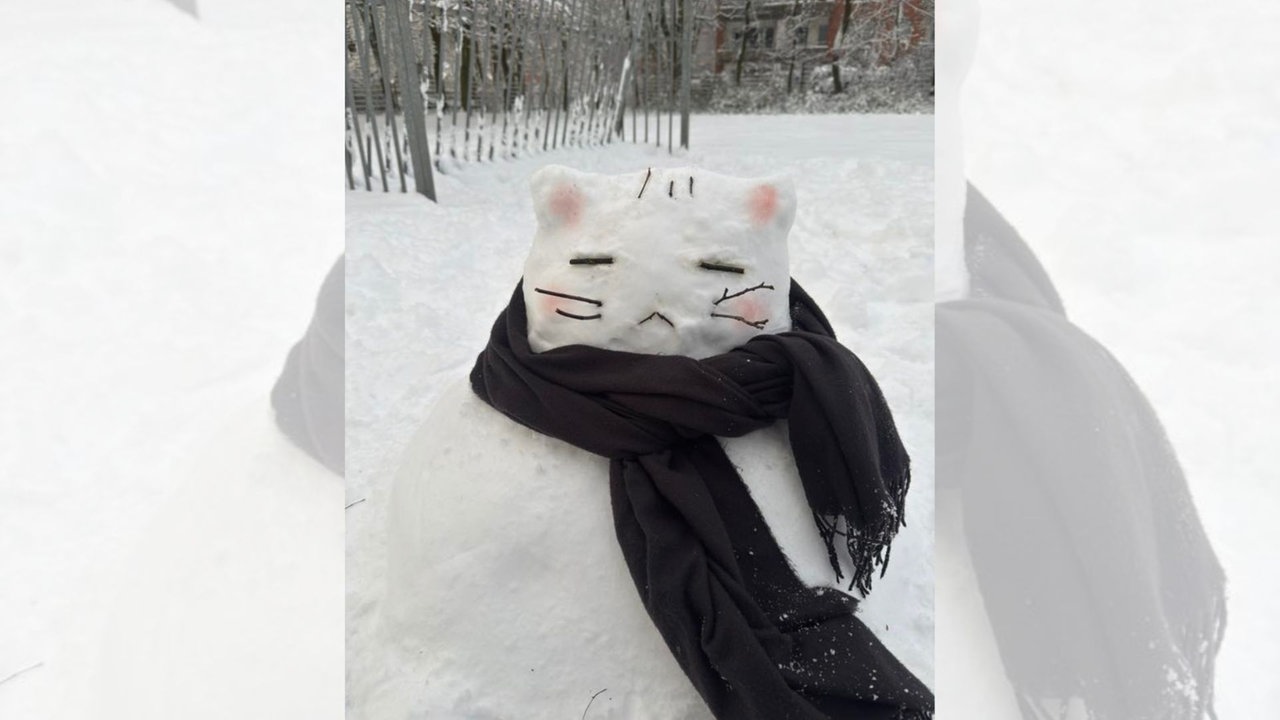Ihre schönsten Fotos von Schneemännern