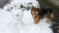 Ihre schönsten Fotos von Schneemännern
