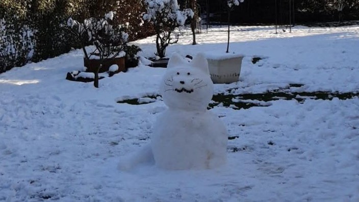 Ihre schönsten Fotos von Schneemännern