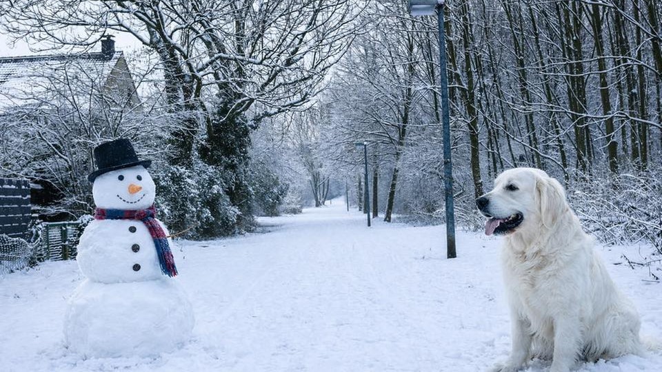 Ihre schönsten Fotos von Schneemännern