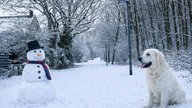 Ihre schönsten Fotos von Schneemännern