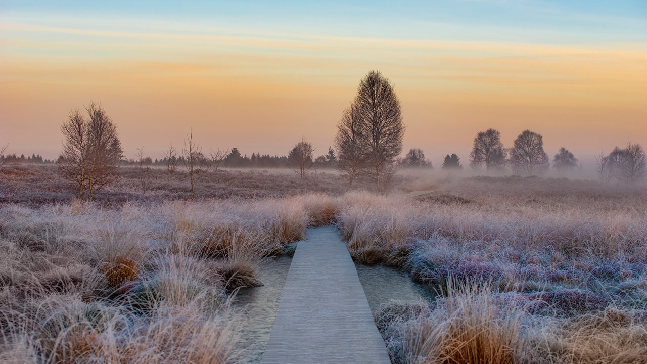 Frostbilder