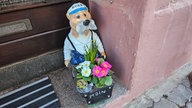 Schöne Frühblüher 