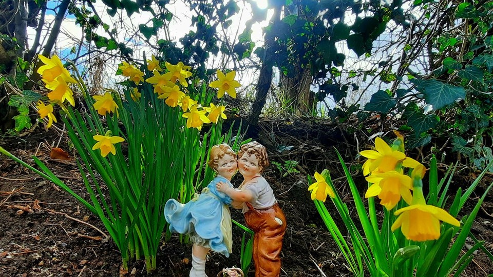Schöne Frühblüher 