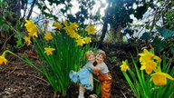 Schöne Frühblüher 