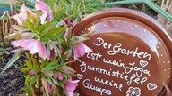 Schöne Frühblüher 