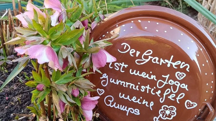 Schöne Frühblüher 