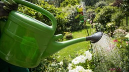 Eine Frau giesst ein Blumenbeet mit einer Giesskanne