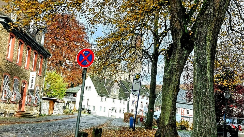 Ihr schönstes Herbstlaub