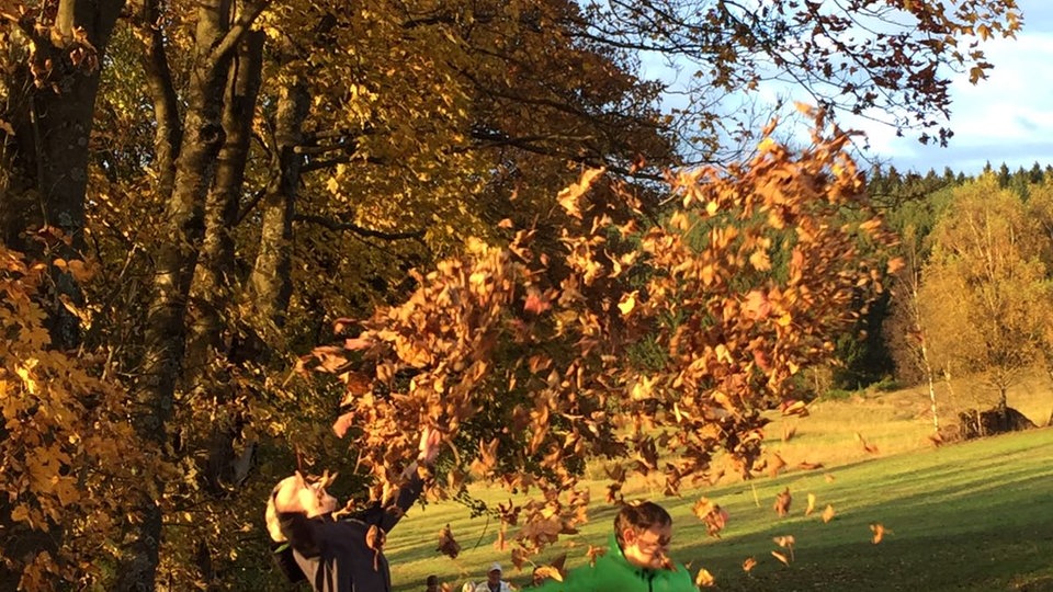 Ihr schönstes Herbstlaub