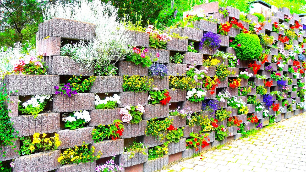 Ihre schönsten Sommerblumen
