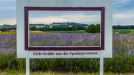 Ihre schönsten Lavendelbilder