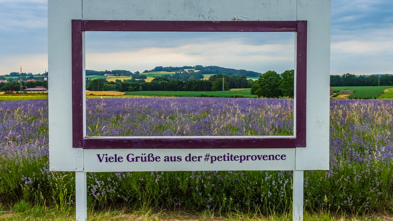 Ihre schönsten Lavendelbilder