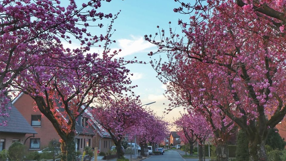 Lieblingsstraßen