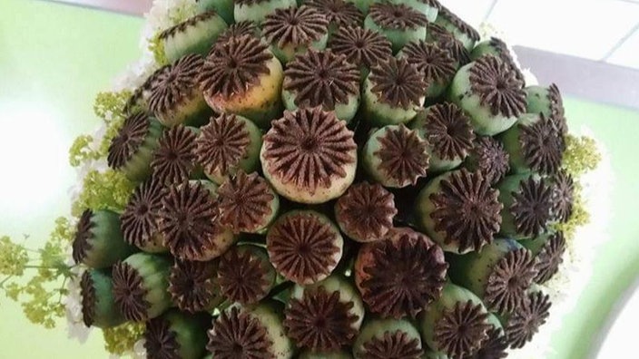 Mohnblüten