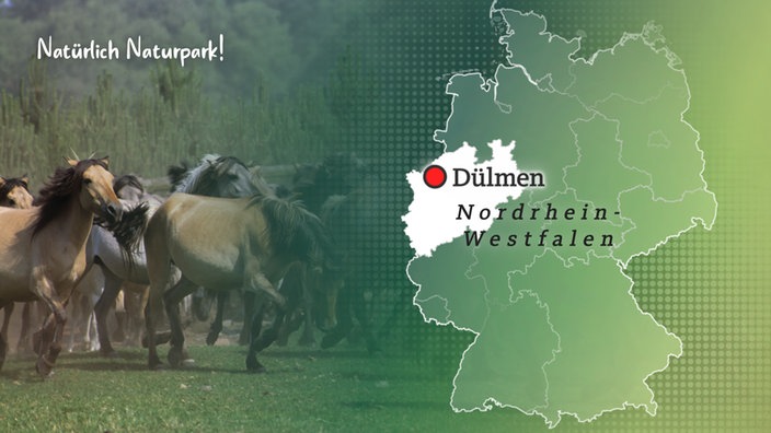 Natürlich Naturpark – WDR: Hohe Mark 