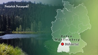 Natürlich Naturpark – SWR: Nationalpark Schwarzwald
