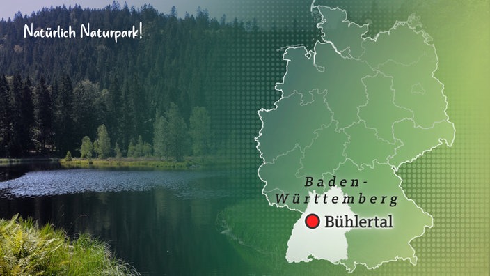 Natürlich Naturpark – SWR: Nationalpark Schwarzwald