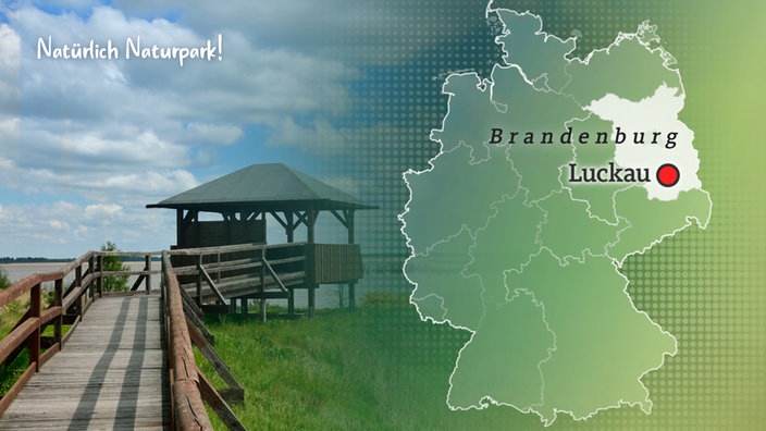 Natürlich Naturpark Niederlausitzer Landrücken RBB