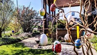 Schönsten Osterhasen-Fotos